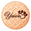 yason.logo